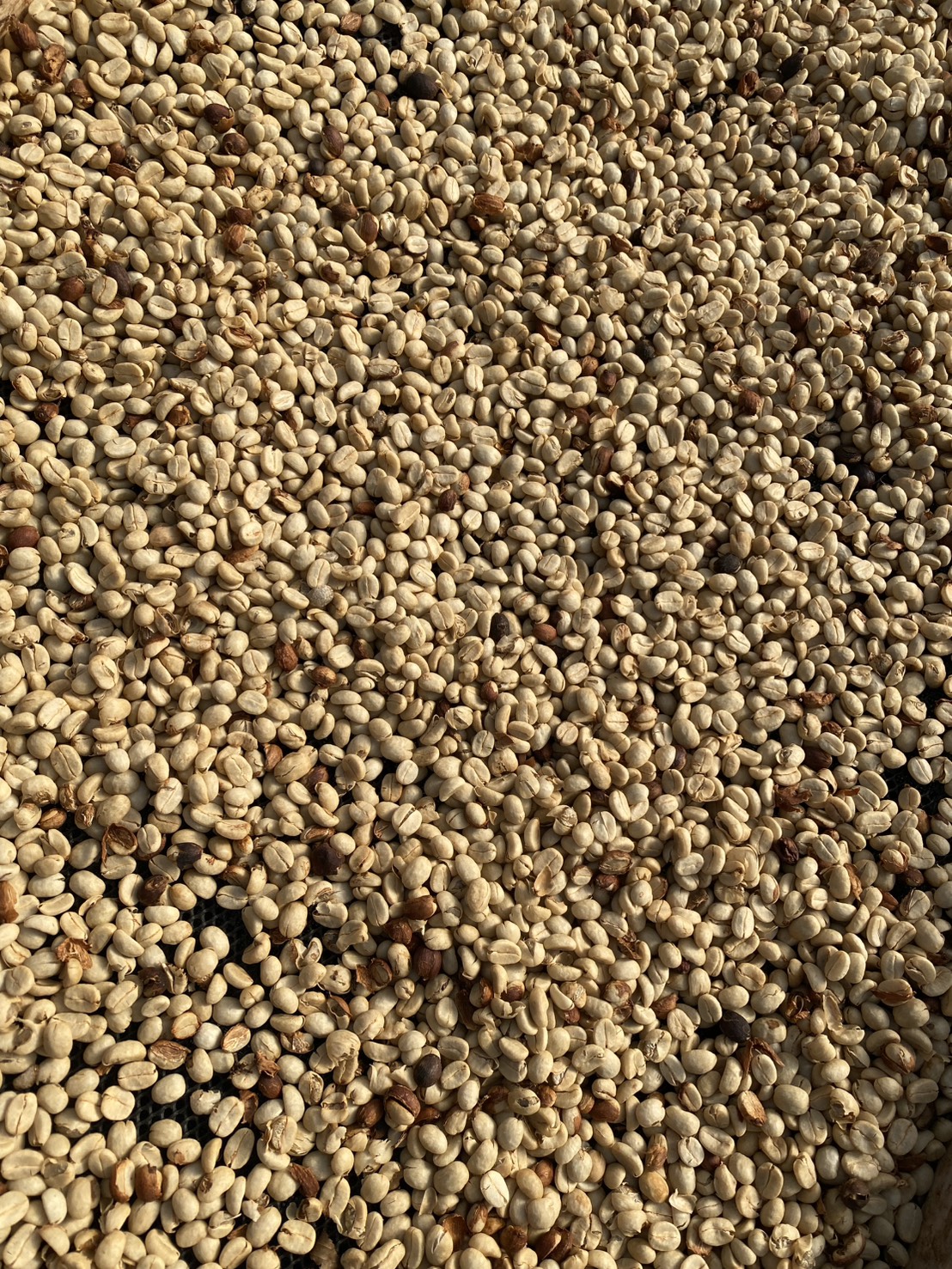DHATS Coffee ritual at home