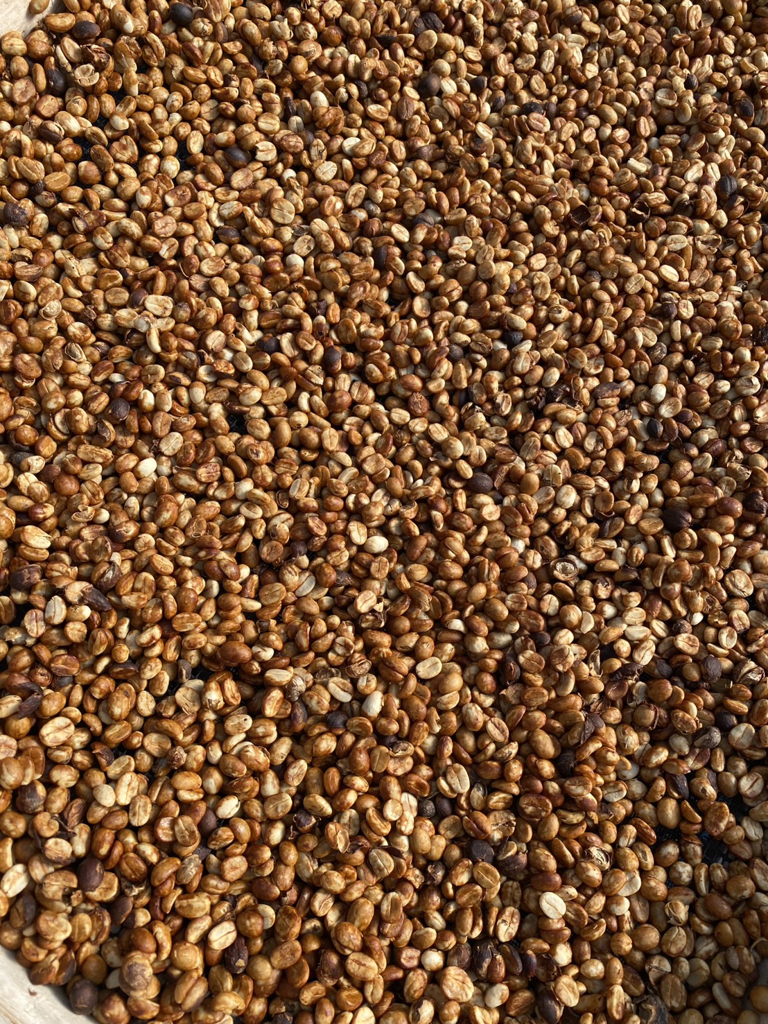 DHATS Coffee home brewing story