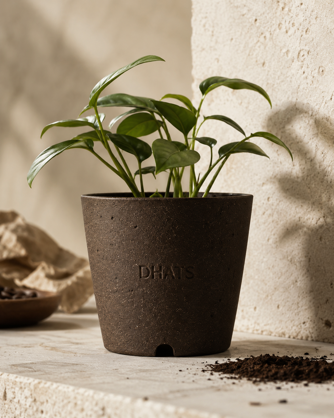 DHATS coffee ground flower pot